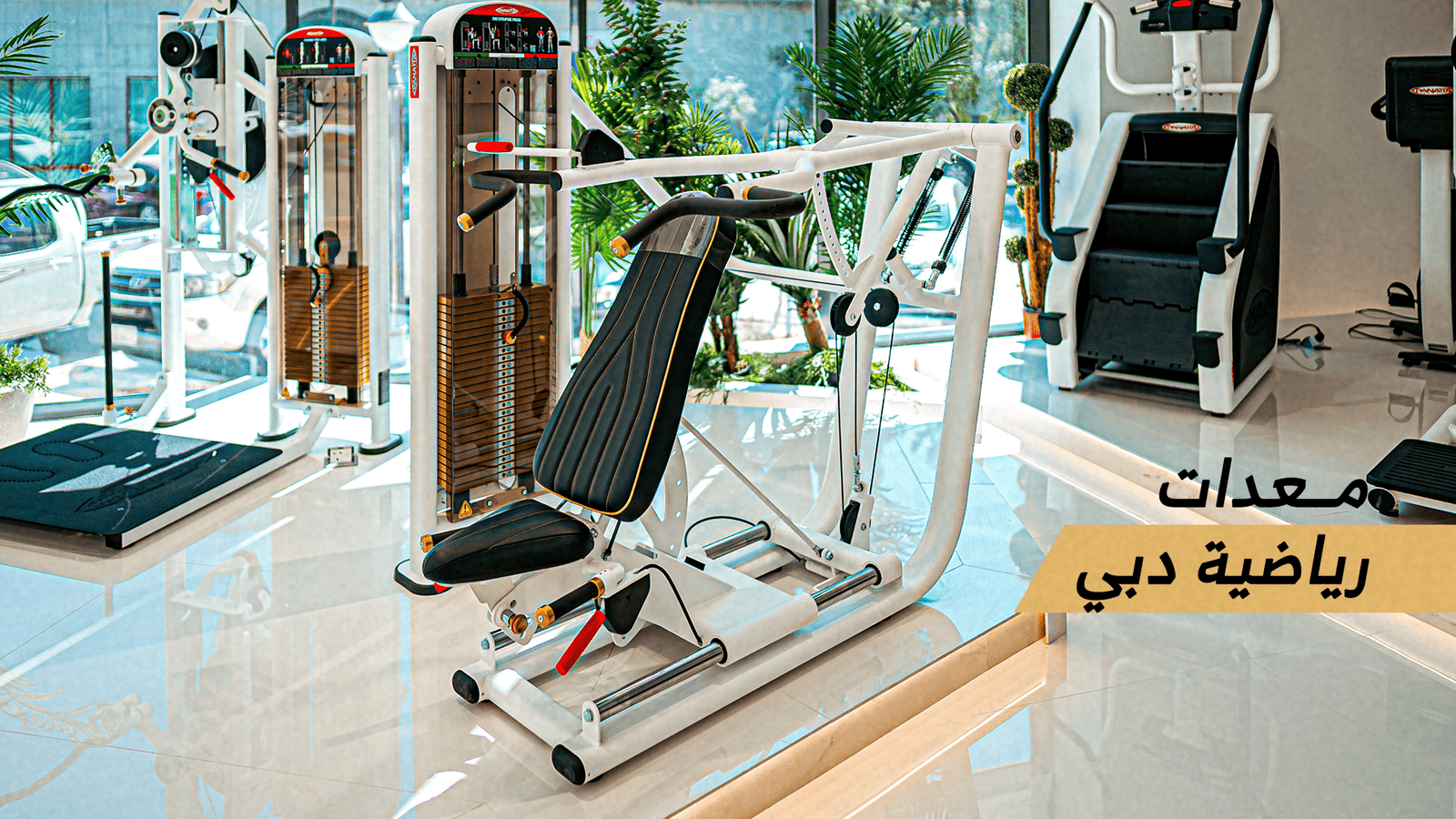 معدات رياضية دبي | حلول متكاملة لتوريد وتجهيز الصالات الرياضية في الإمارات