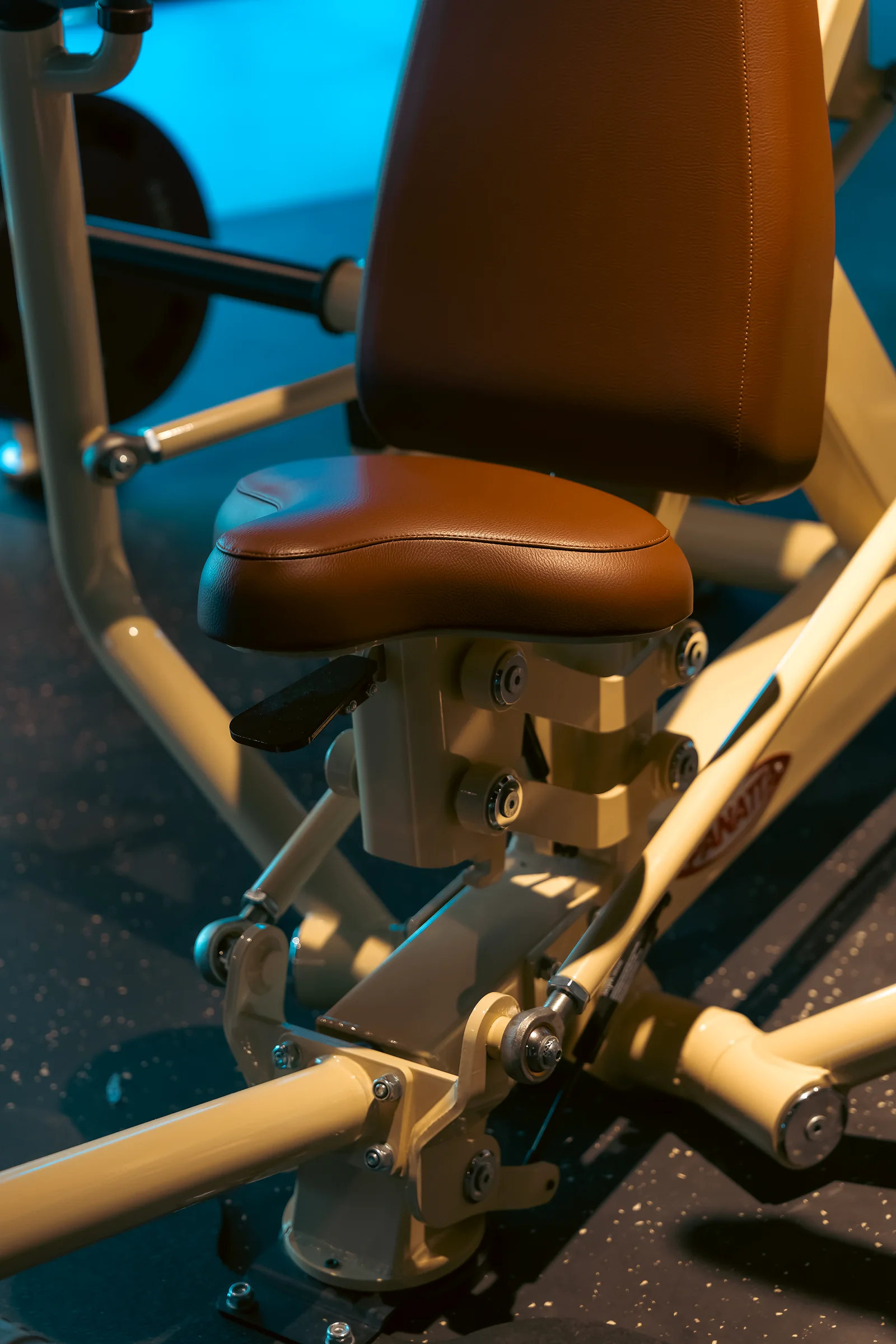 Strength-training equipment in a professionally fitted gym with warm lighting