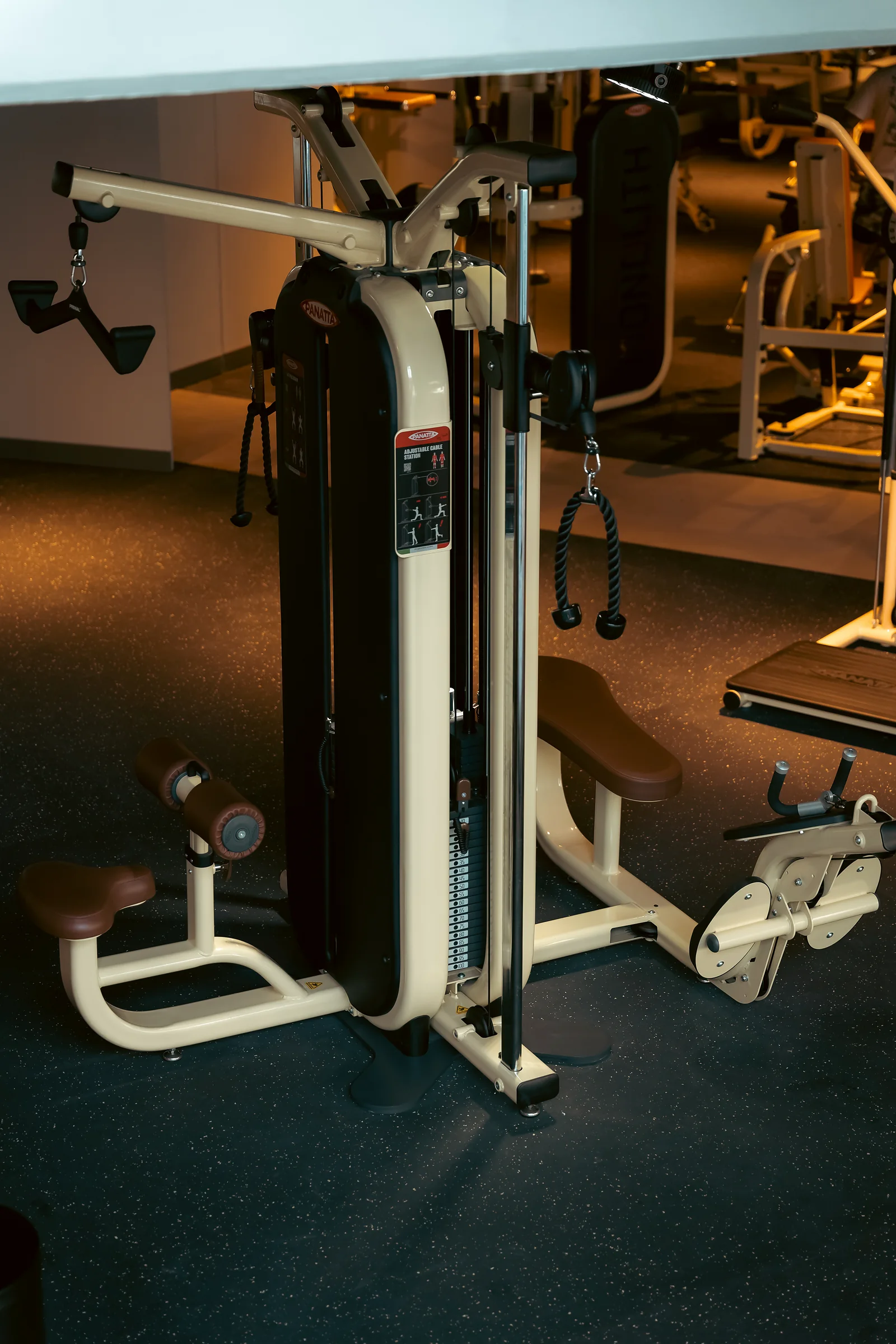 Plate-loaded strength machine beside floor-to-ceiling gym windows