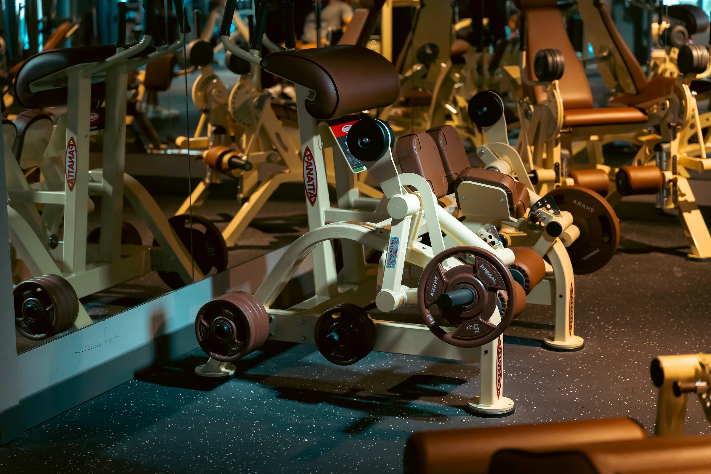 Close-up of professional strength equipment with metal frames and brown upholstery