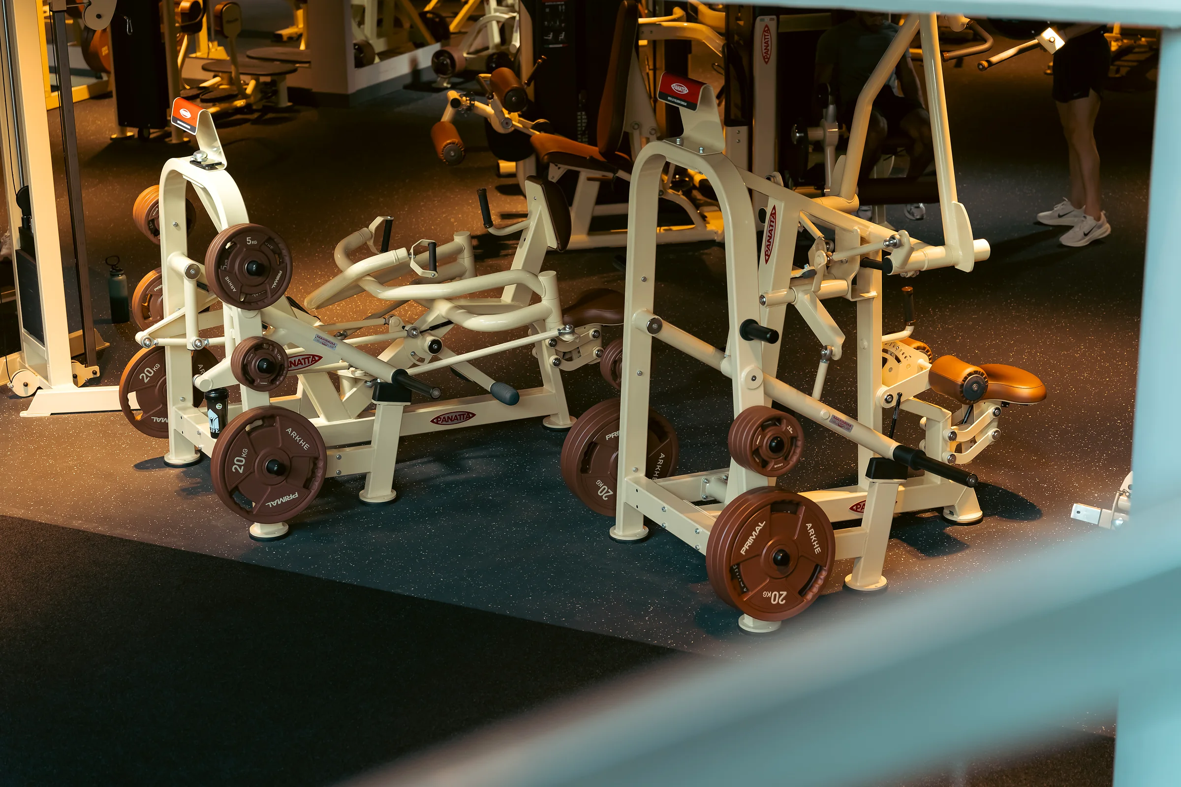 Strength machines and free weights arranged across a professional training floor