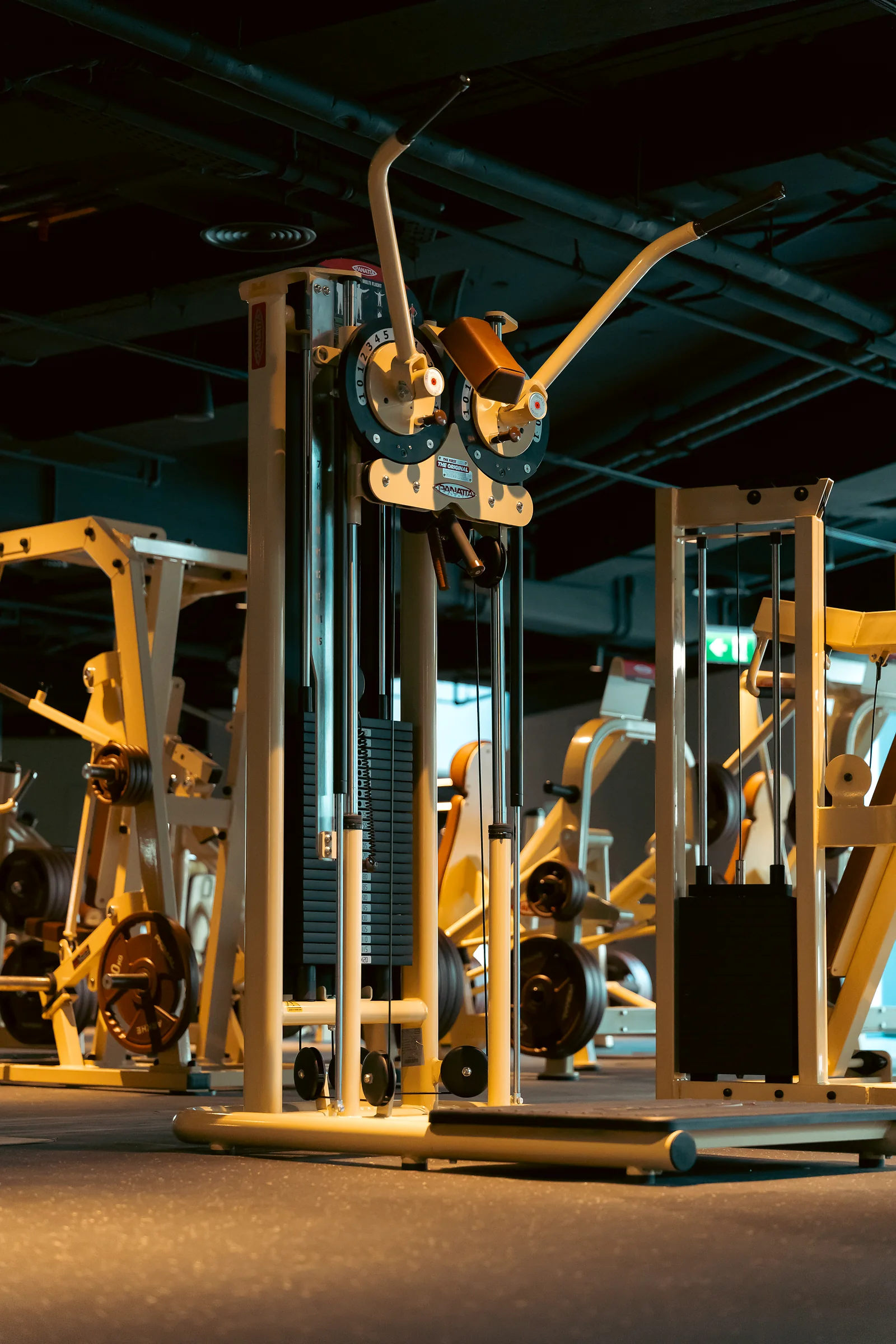 Professional metal training rack in a fully equipped gym