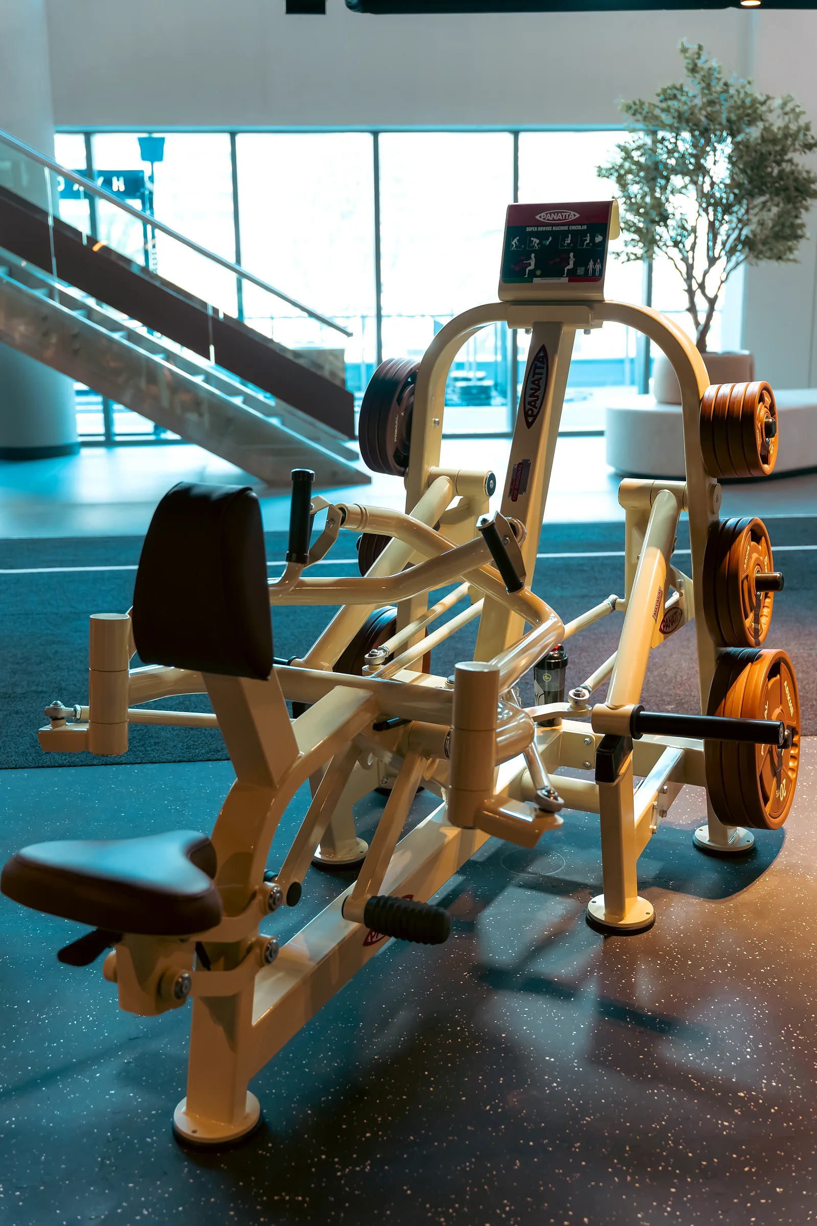 Professional metal training rack in a fully equipped gym