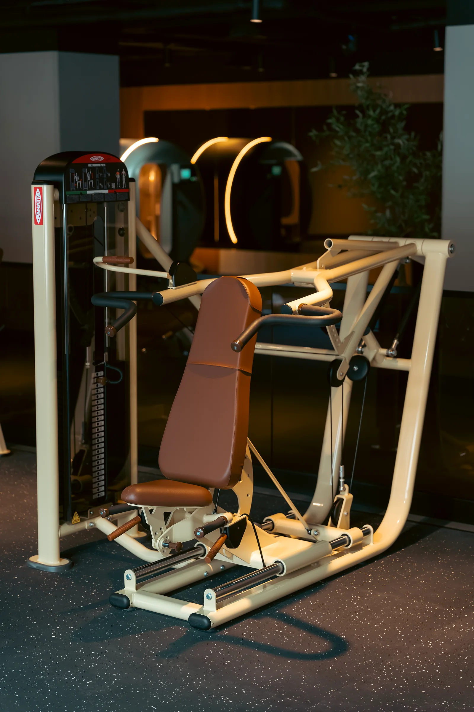 Professional metal training rack in a fully equipped gym